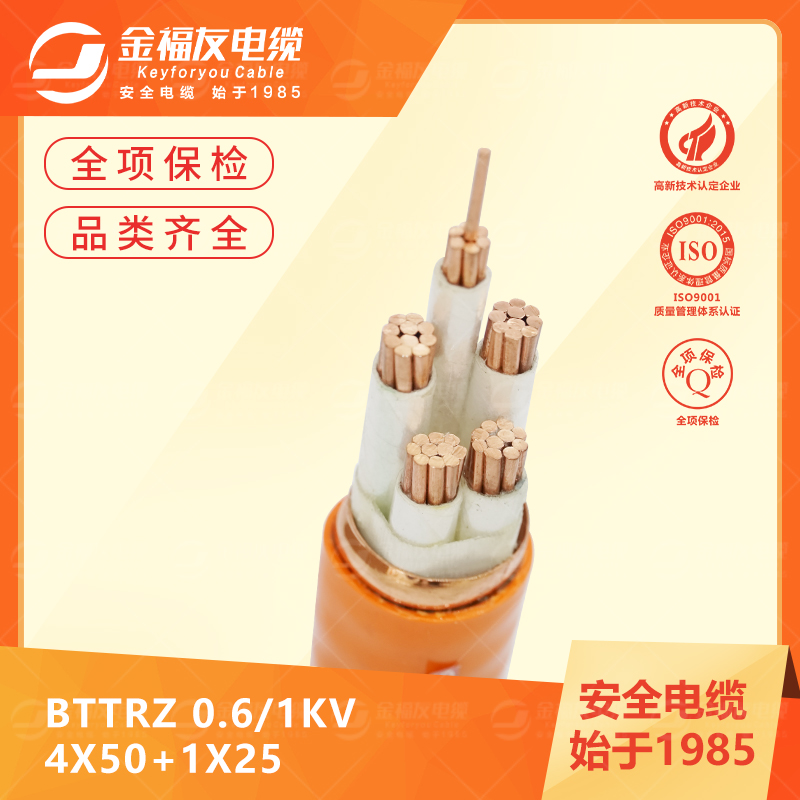 豪利777官网产品-6.12-BTTRZ-0.61kV-4X50+1X25