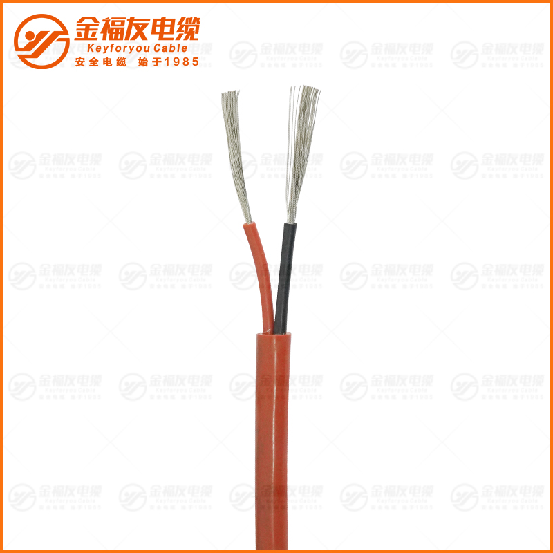 YGZ 300 500V 2X1.5