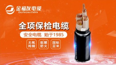 豪利777官网电缆丨榜样的力量，月度优秀进步标兵与团队表彰！