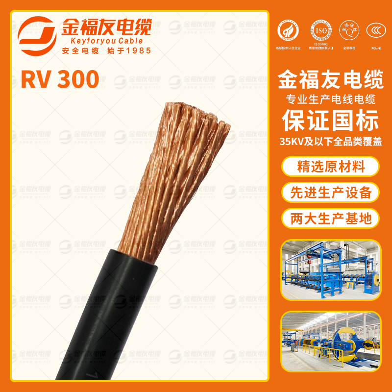豪利777官网产品-8.20-RV-300