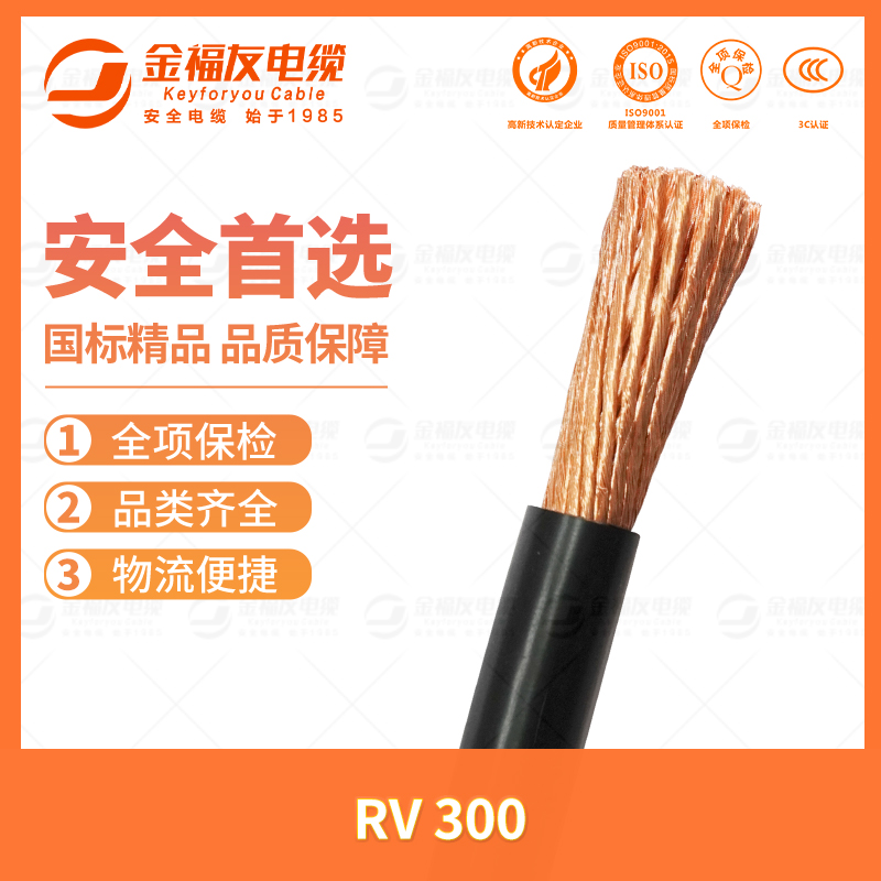 豪利777官网产品-7.11-RV-300