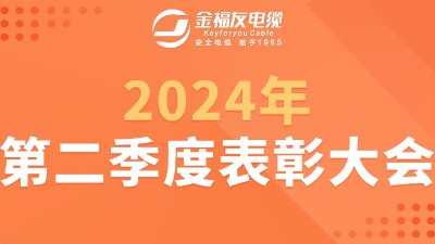 豪利777官网电缆2024年第二季度表彰大会