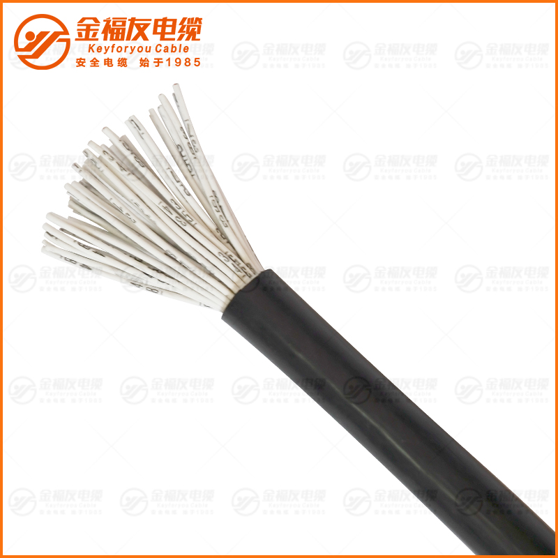 RVV护套软线50芯