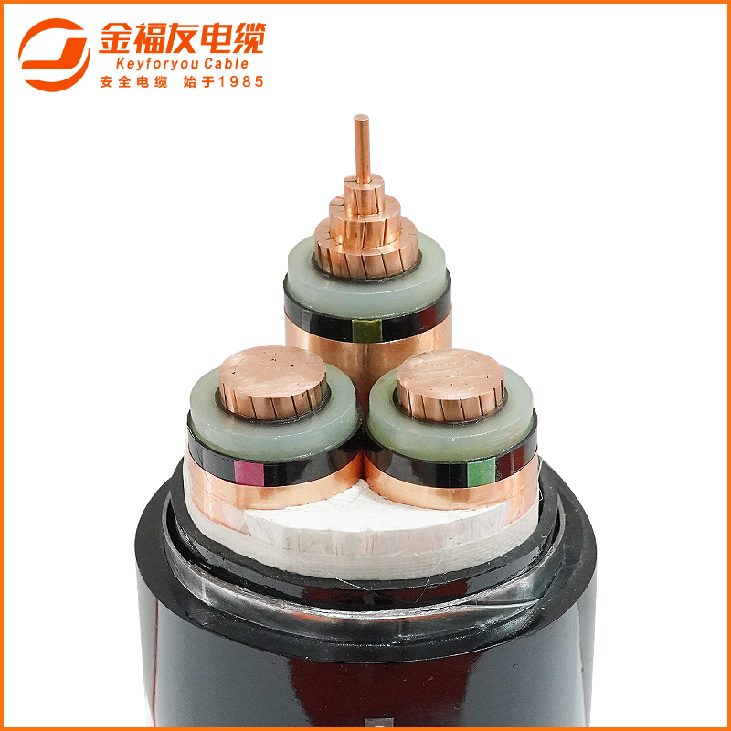 豪利777官网官网主图-ZC-YJV22-3X300-1