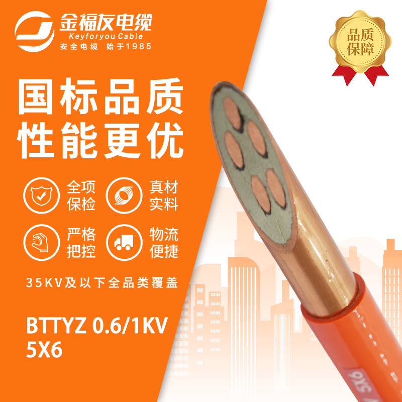 豪利777官网产品-3.4-BTTYZ-0.6-1kV-5X6